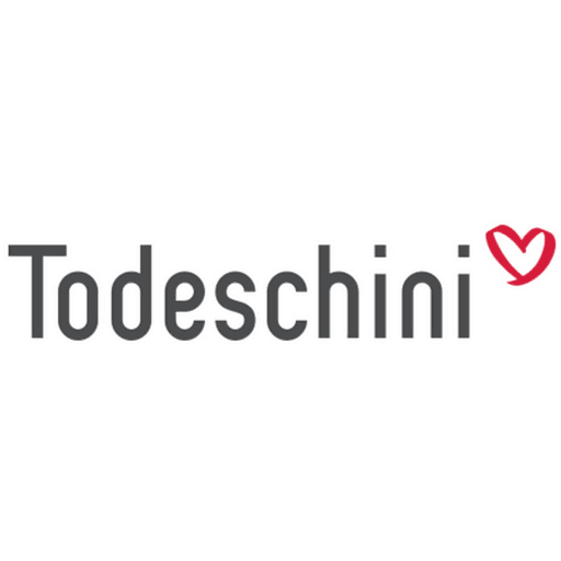 Logo da franquia Todeschini – Casa e Construção