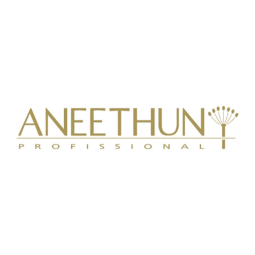 Logo da franquia Aneethun – Beleza e Estética