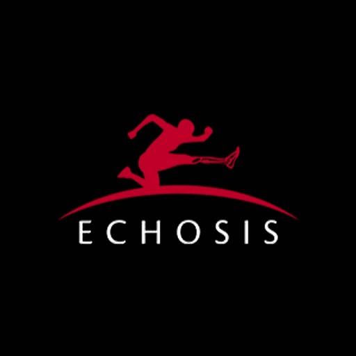 Logo da franquia Echosis – Comunicação, Informática e Eletrônicos