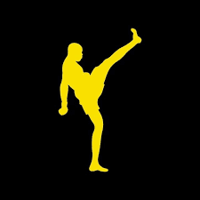 Logo da franquia Spider Kick – Beleza e Estética